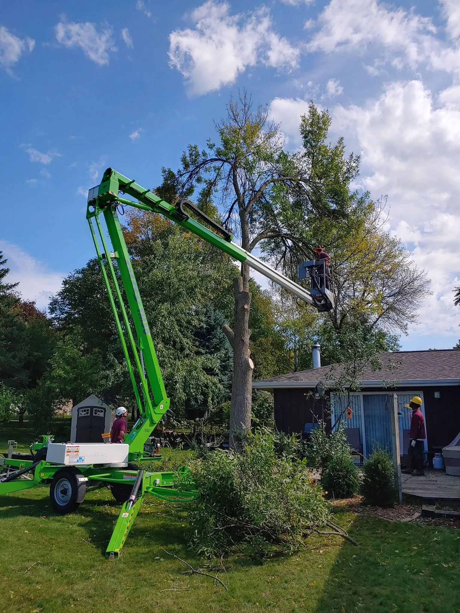 Tree Removal